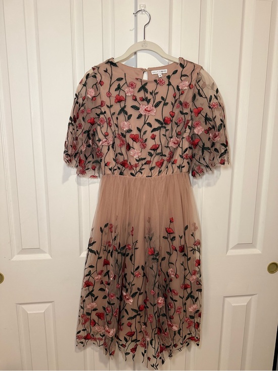 Baltic Born Dresses & Skirts - Baltic Born Blush Pink Tulle Dress with Floral Embroidery